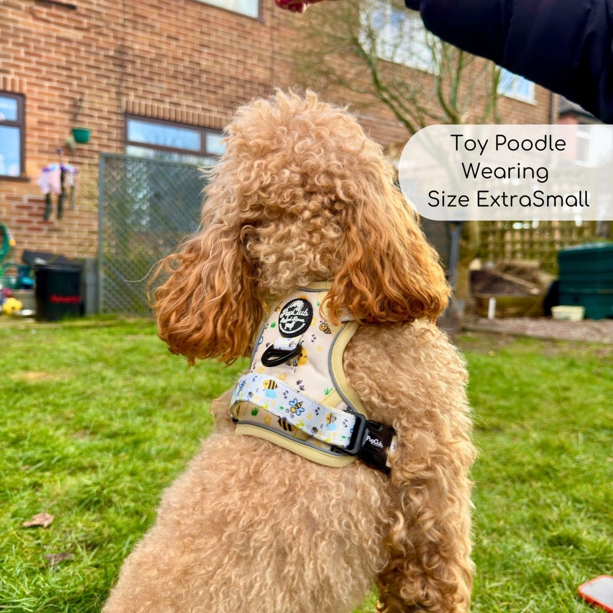 Rugged Rover™ Harness - Bee-utiful Summer