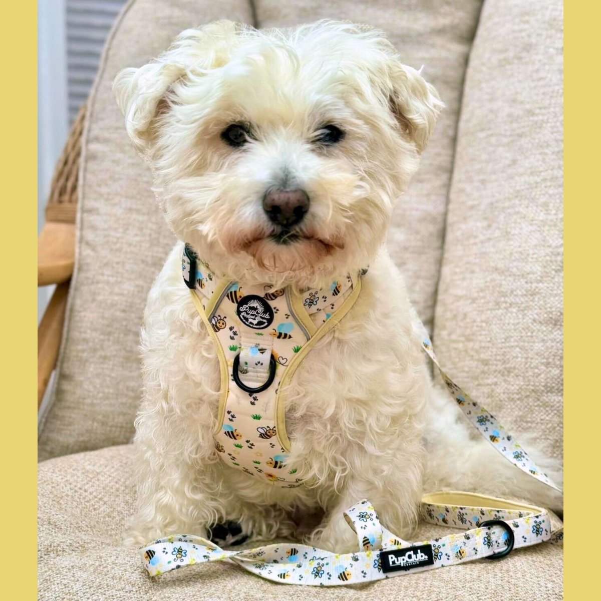 Rugged Rover™ Harness - Bee-utiful Summer