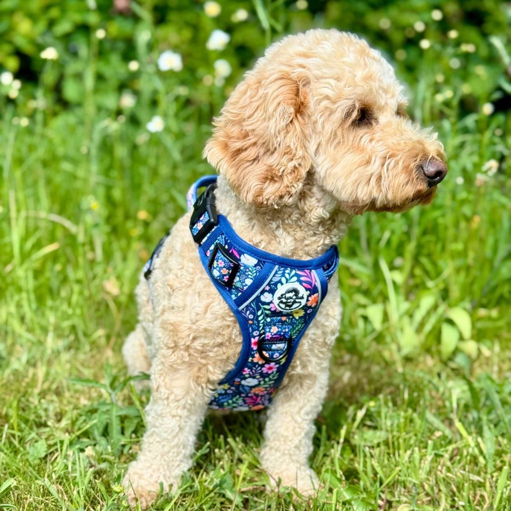 Rugged Rover™ Harness - Summer Meadow