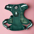 Rugged Rover™ Harness - Forest Green