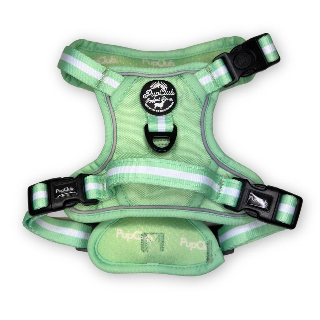 Rugged Rover™ Harness - Pastel Mint Green