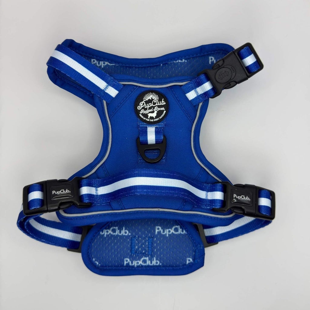 Rugged Rover™ Harness - Royal Blue
