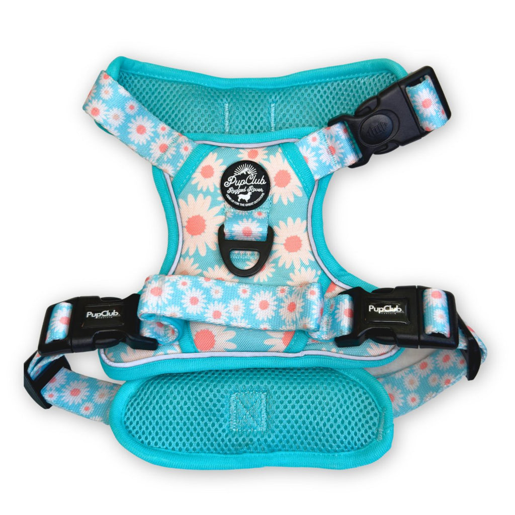 Rugged Rover™ Harness - Pastel Daisy