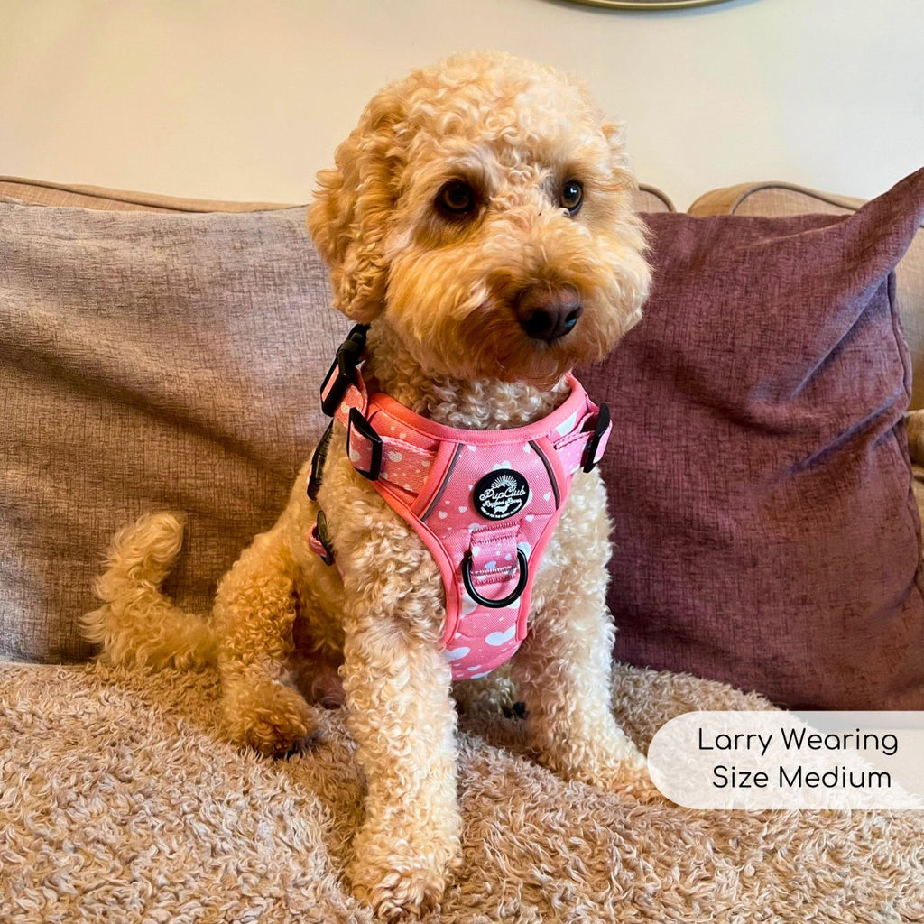 Rugged Rover™ Harness - Peachy Hearts