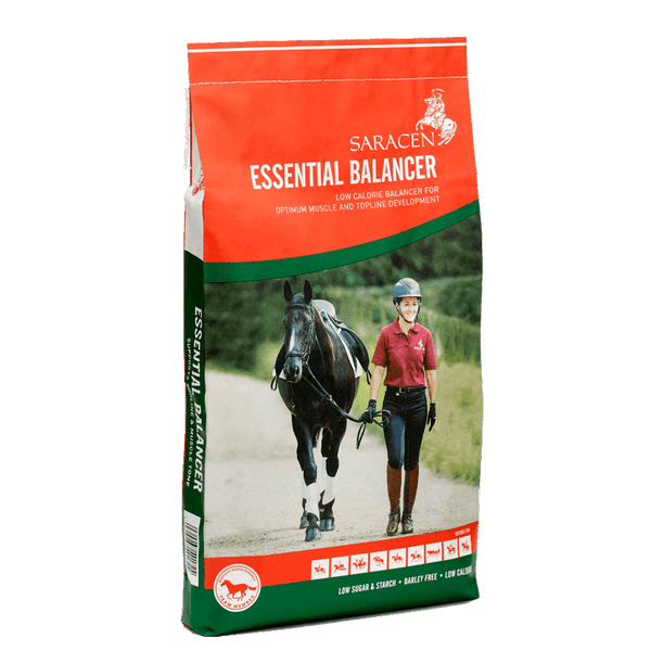 Saracen Essential Balancer