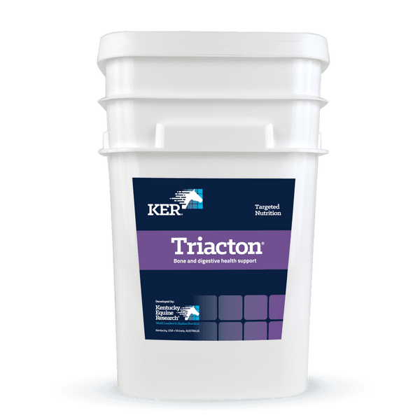 Saracen KER Triaction
