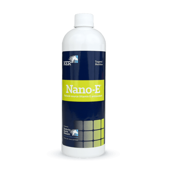 Saracen KERx Nano-E 450ml