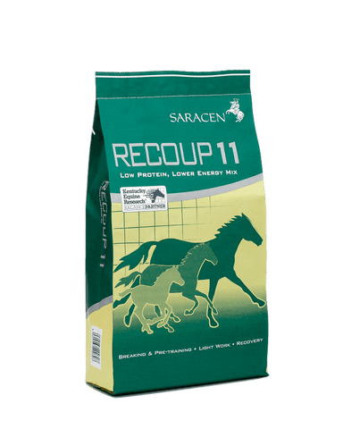 Saracen Re-Coup 11