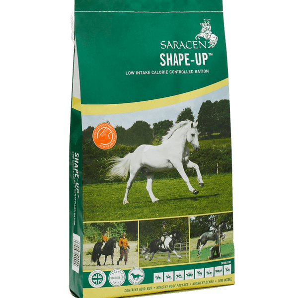 Saracen Shape-Up