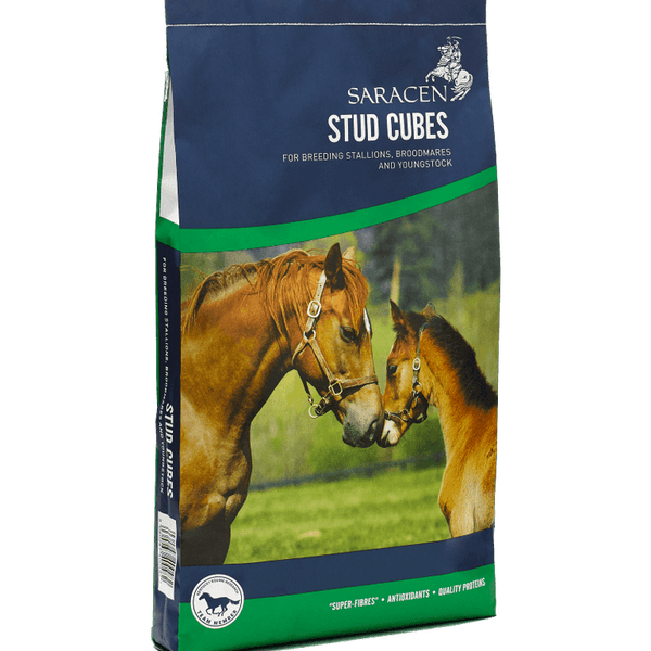 Saracen Stud Cubes