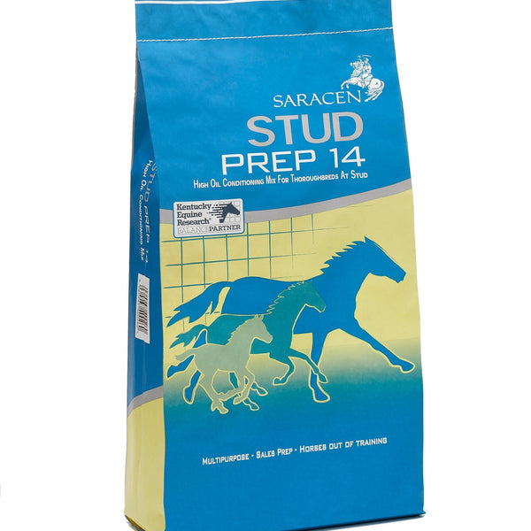 Saracen Stud Prep 14
