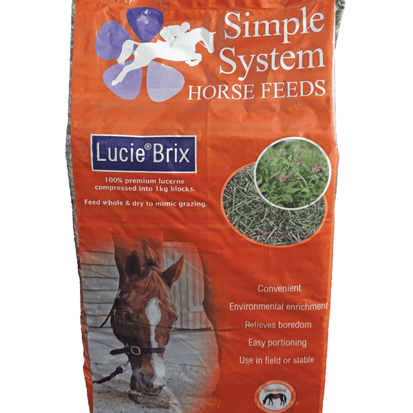 Simple System Lucie Brix Lucerne