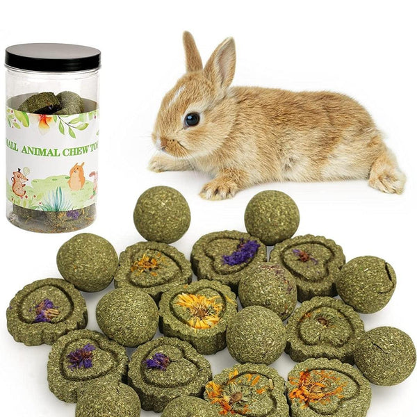 Small Animal Treat Sticks & Chews