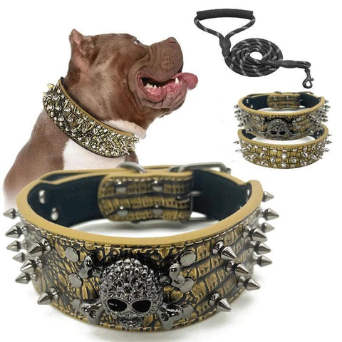 Spiked Collar & Lead Matching Set.