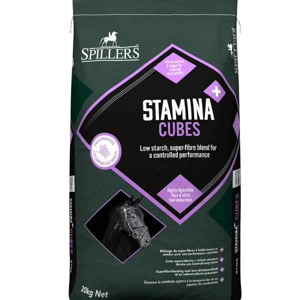 Spillers Stamina+ Cubes