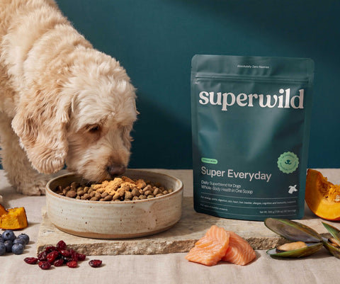 Super Everyday