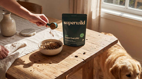 Super Everyday