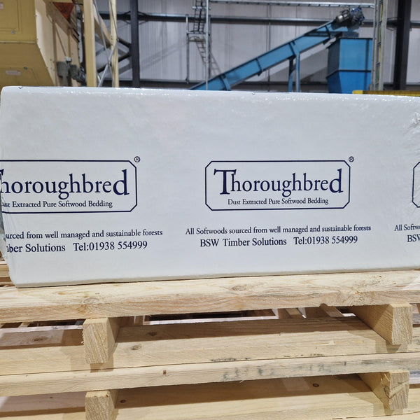 Thoroughbred Shavings