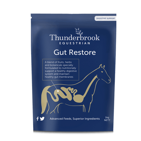 Thunderbrook Equestrian Gut Restore 3kg