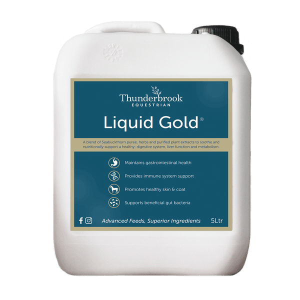 Thunderbrook Equestrian Liquid Gold 2L