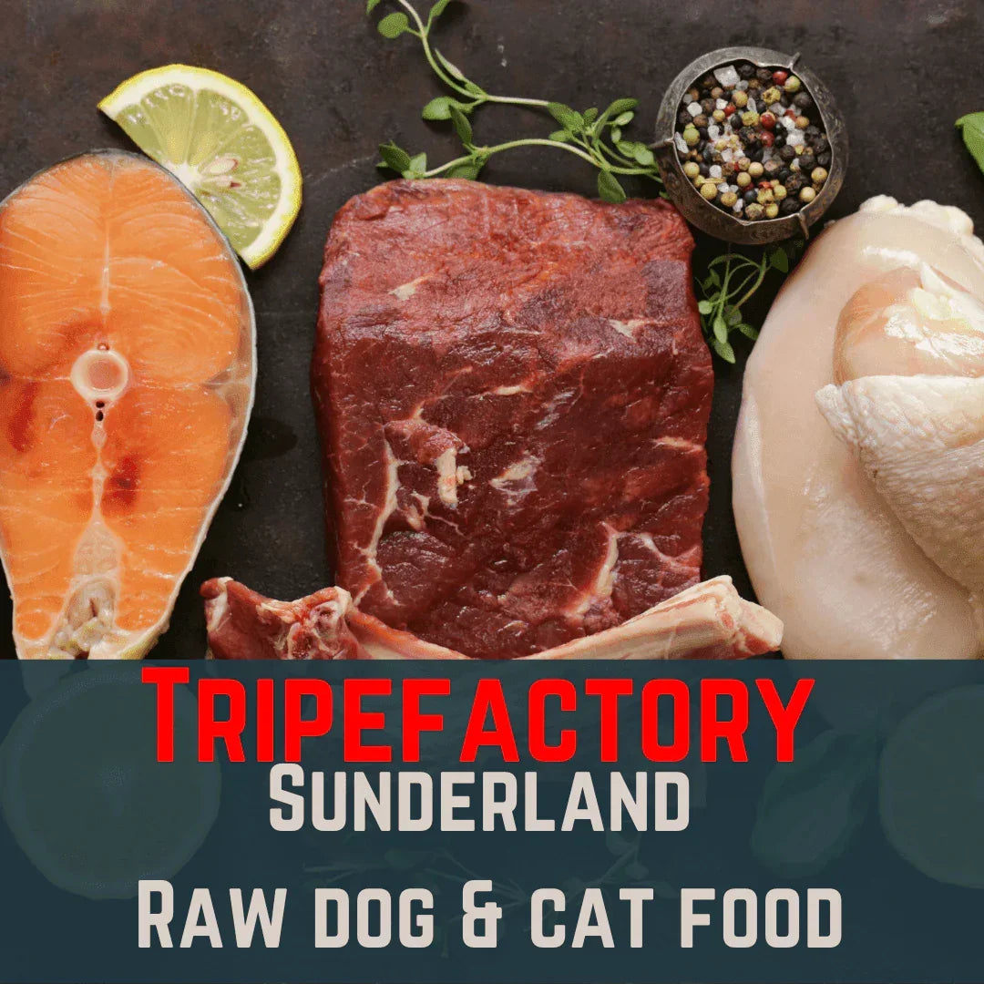 Tripefactory Sunderland - 1lb (Single) - Raw Dog & Cat Food – 454g