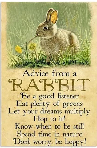 Various Rabbit Tin Sign