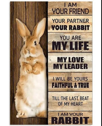 Various Rabbit Tin Sign
