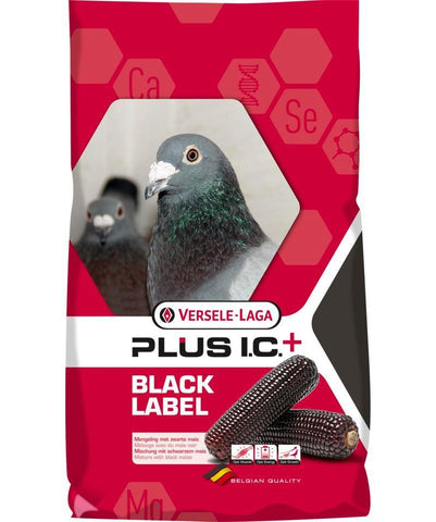 Versele Laga Junior Plus I.C. Black Label