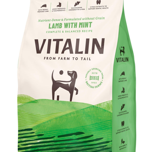 Vitalin Adult Lamb Mint 12kg
