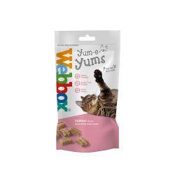 Webbox Cat Yum-e-yums Salmon