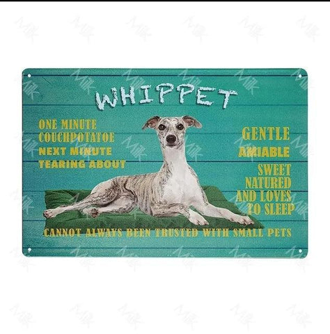 Whippet Dog Tin Sign