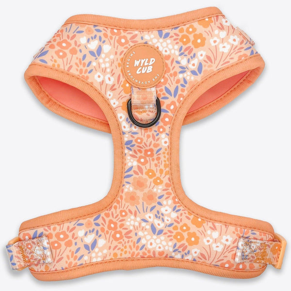 Wyld Cub - Adjustable Dog Harness: Notting Hill Buttercup