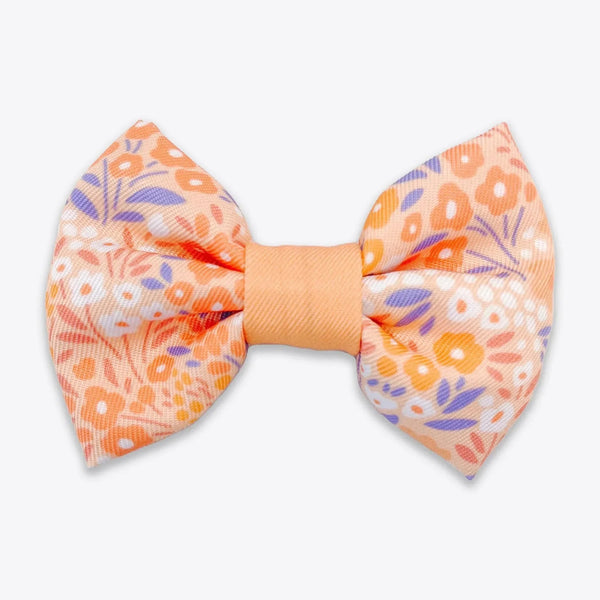 Wyld Cub - Dog Bow Tie: Notting Hill Buttercup