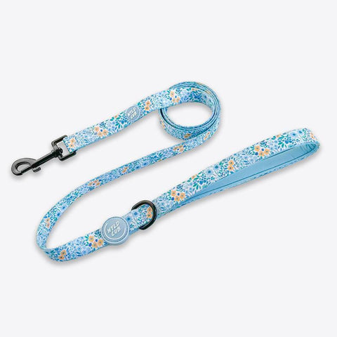 Wyld Cub - Dog Lead: Notting Hill Sky