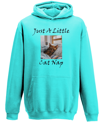 Men's Just A Little Cat Nap Hoodie