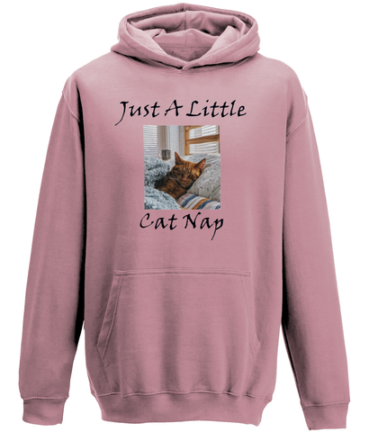 Men's Just A Little Cat Nap Hoodie
