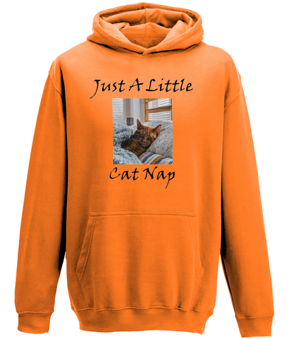 Men's Just A Little Cat Nap Hoodie