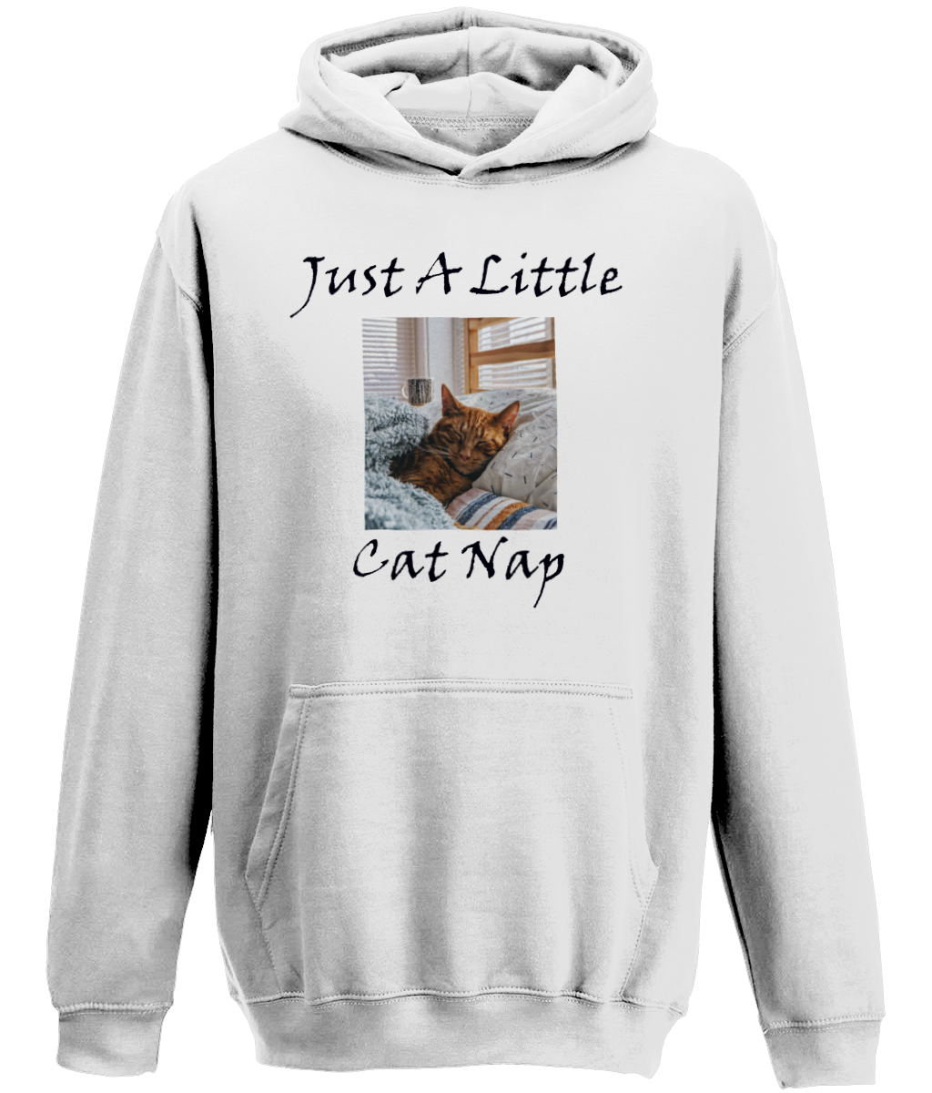 Men's Just A Little Cat Nap Hoodie