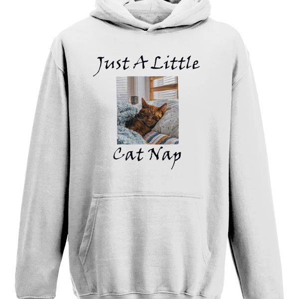 Men's Just A Little Cat Nap Hoodie