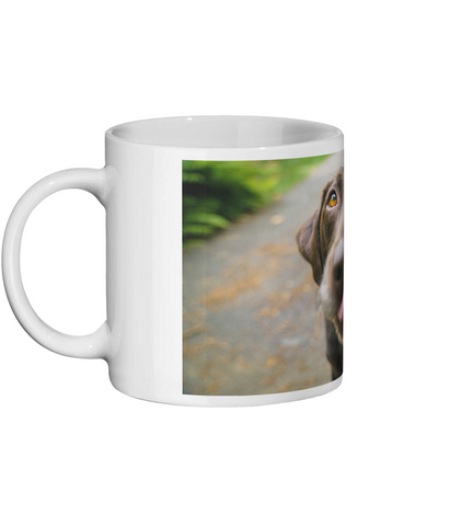 Chocolate Labrador Retriever Mug