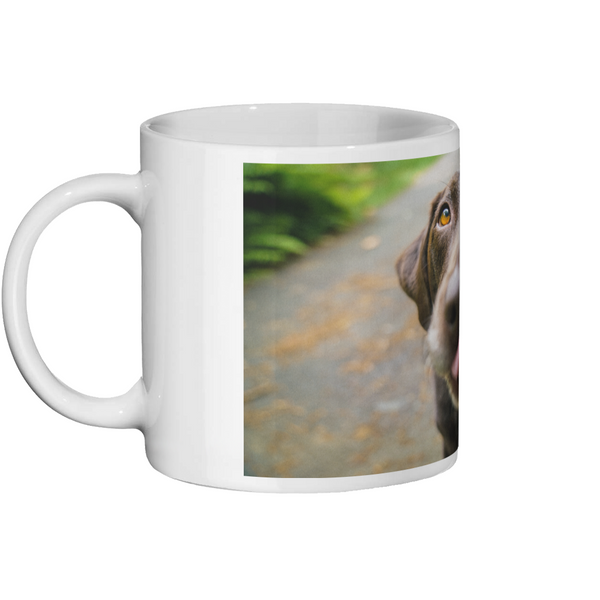 Chocolate Labrador Retriever Mug