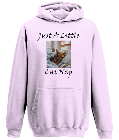 Men's Just A Little Cat Nap Hoodie
