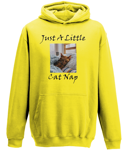 Men's Just A Little Cat Nap Hoodie
