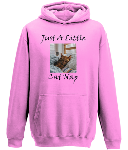 Men's Just A Little Cat Nap Hoodie