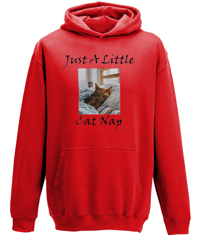 Men's Just A Little Cat Nap Hoodie