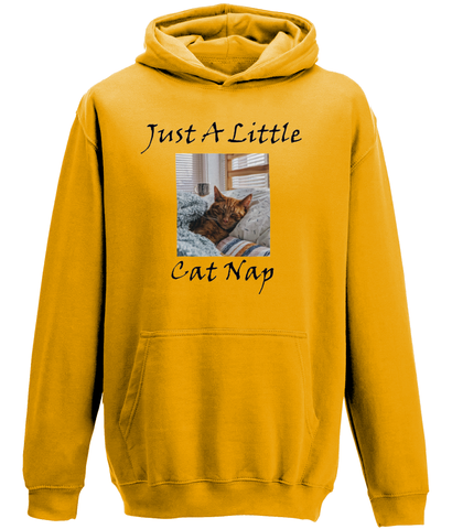 Men's Just A Little Cat Nap Hoodie