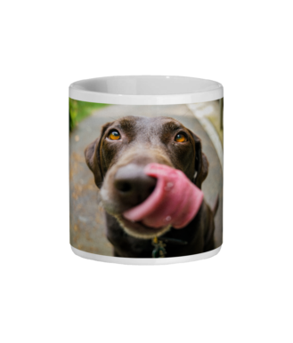 Chocolate Labrador Retriever Mug
