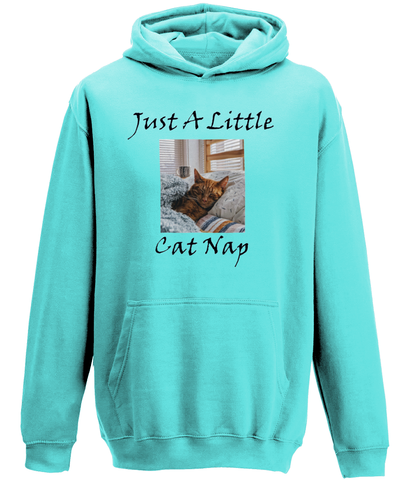Men's Just A Little Cat Nap Hoodie