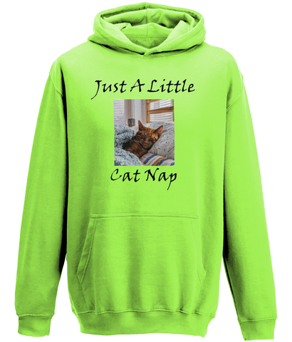 Men's Just A Little Cat Nap Hoodie