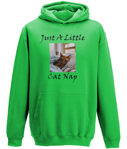 Men's Just A Little Cat Nap Hoodie